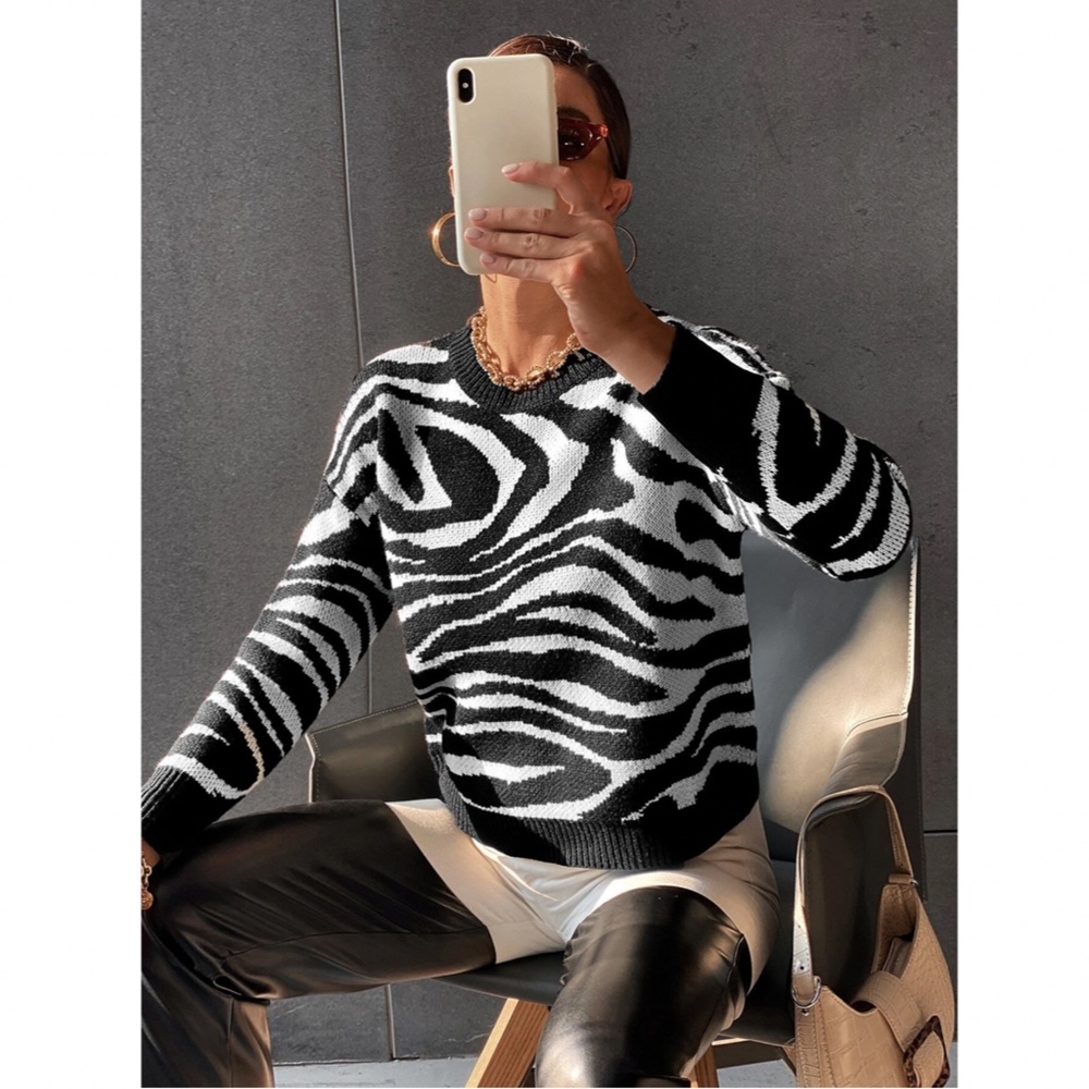 Black & White Zebra Stripe Pullover Sweater Round Neck Long Sleeve Drop Shoulder - Picture 5 of 8